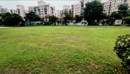 INDIAN DIAMOND CRICKET ACADEMY( Noida )