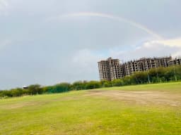 Scout & Grassroot Cricket Academy