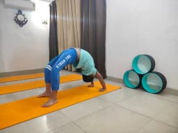 Anand yog