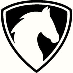 Chess Wiki - Chess academy