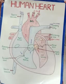Biology tuition classes by Mansi singhal