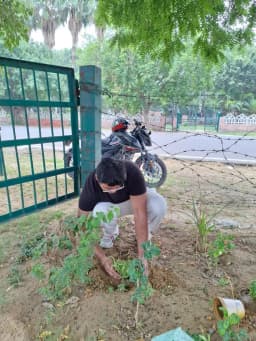 SEMS Foundation