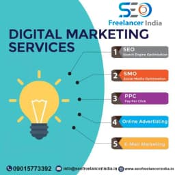 SEO Freelancer India, Freelancer Digital Marketing Expert Gurgaon and SMO, PPC Consultant in Noida, Delhi