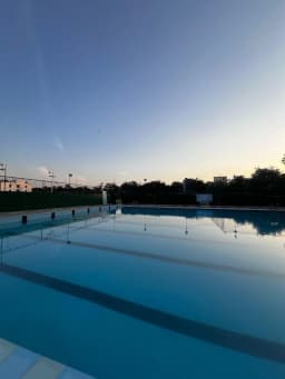Dive-In Aquatics