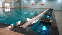 Swimming Pool, Palm Olympia