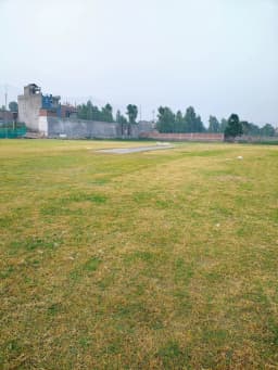 Pitch pulse cricket academy