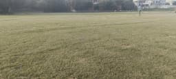 OJ Cricket Club -Lords and 22 yards cricket ground