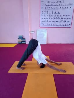 Kaya Holistic Yoga Studio