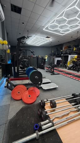 Body Scientist Warehouse Gym
